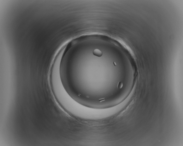 X0000110991189200906261443