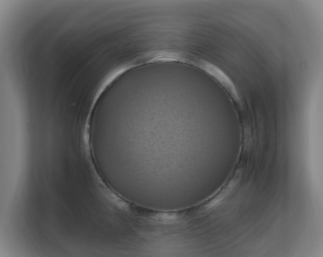 X0000110991190200906261443