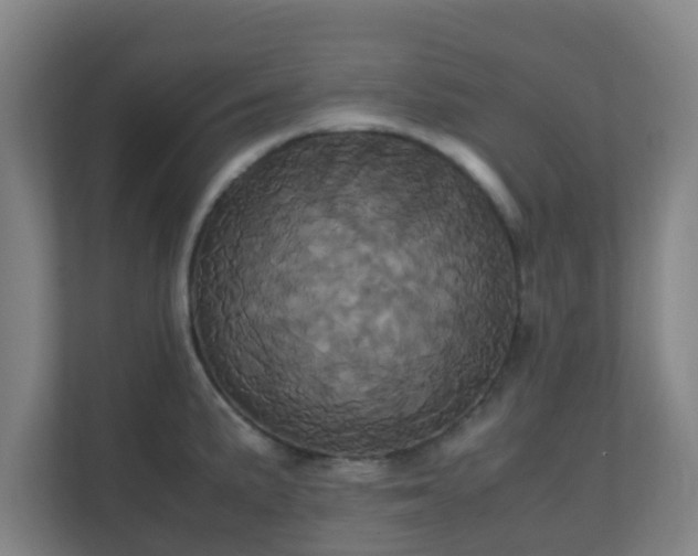 X0000110991191200906261443