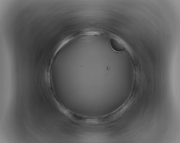 X0000110991194200906261443
