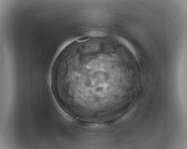 X0000110991195200906261443