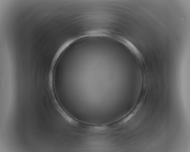 X0000110991196200906261443