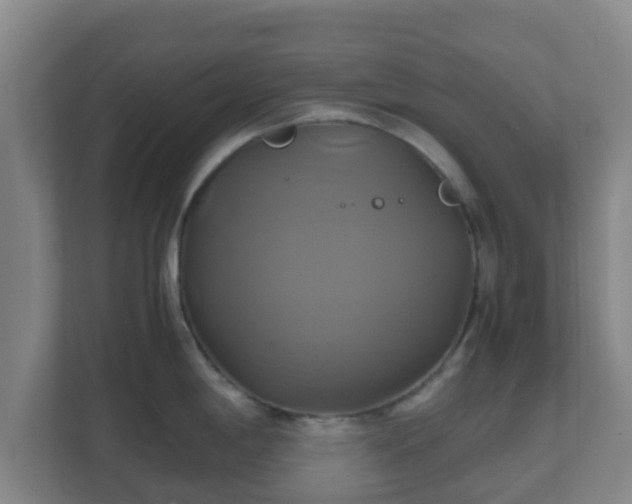 X0000110991198200906261443