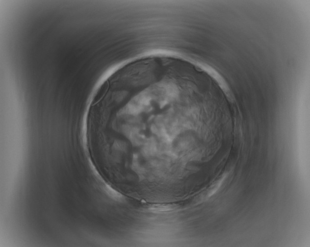 X0000110991199200906261443