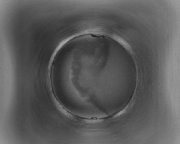 X0000110991200200906261443