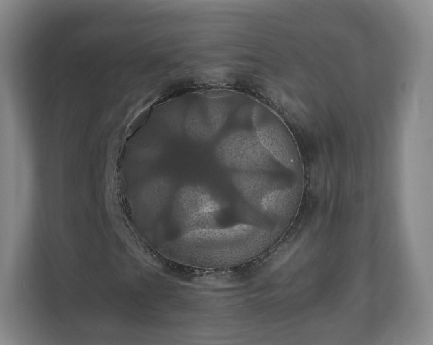 X0000110991201200906261442