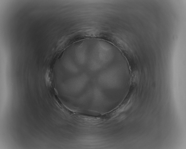 X0000110991202200906261443