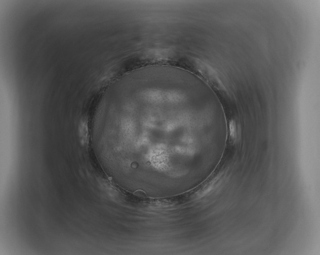 X0000110991203200906261443