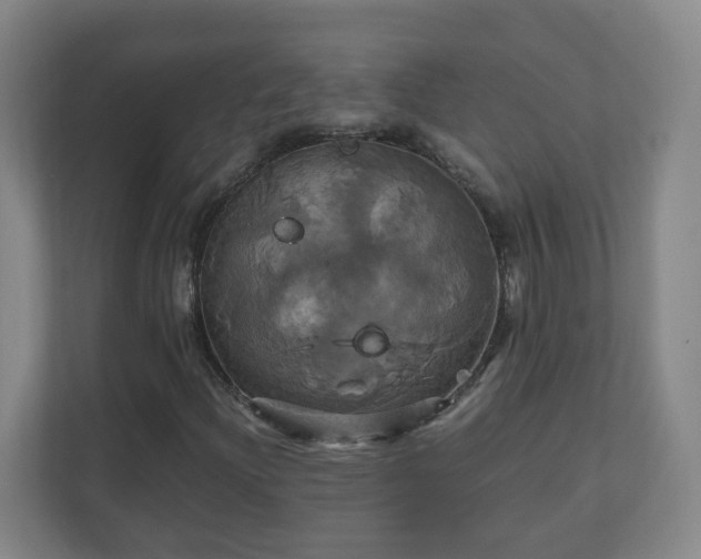 X0000110991204200906261443