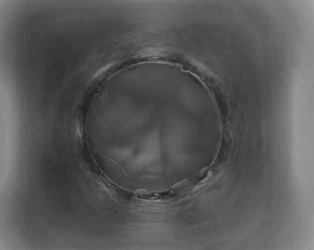 X0000110991206200906261443