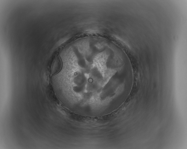 X0000110991207200906261443