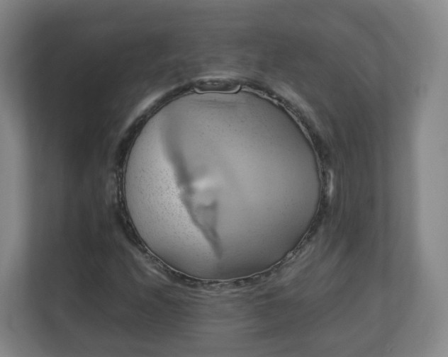 X0000110991208200906261443