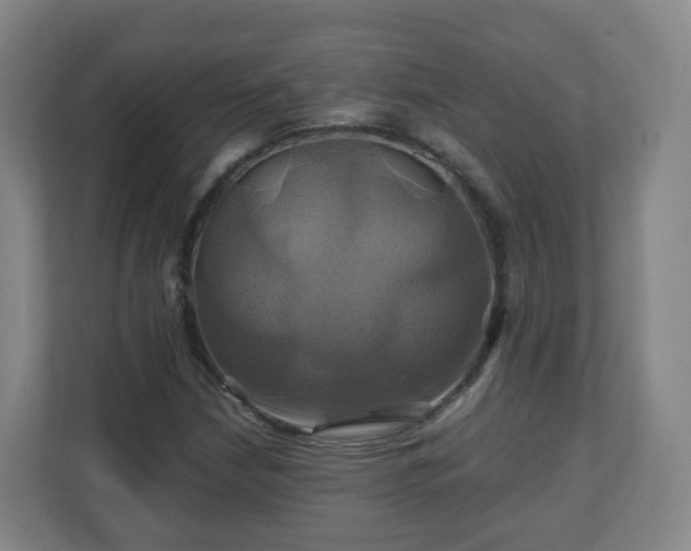 X0000110991210200906261443