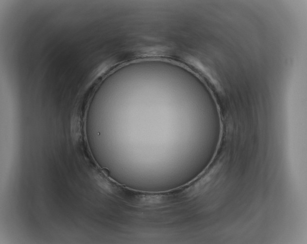 X0000110991211200906261443