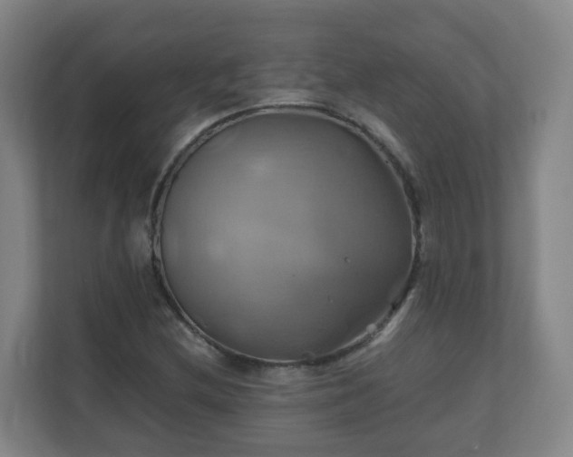 X0000110991212200906261443