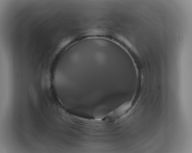 X0000110991213200906261443
