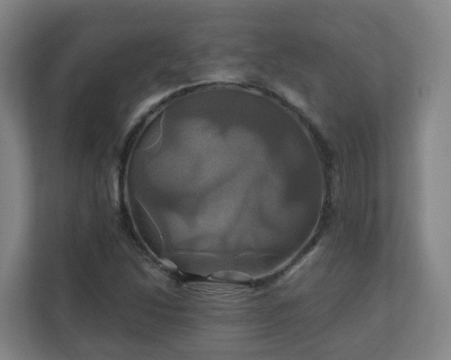 X0000110991214200906261443