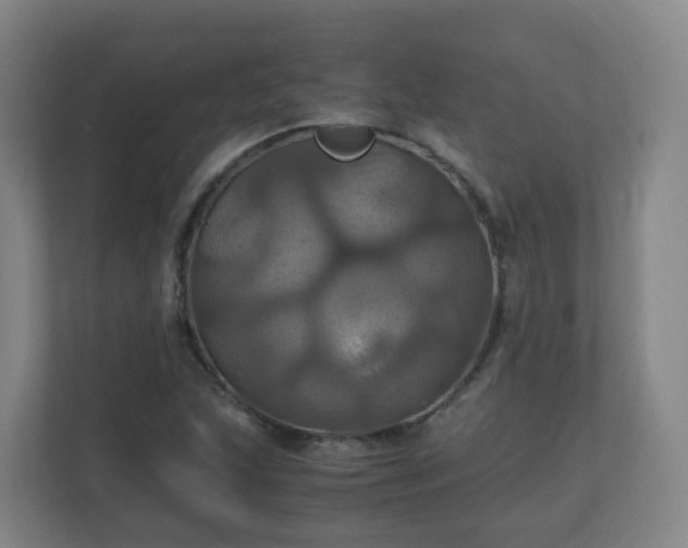 X0000110991215200906261443