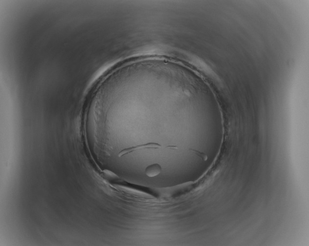 X0000110991216200906261443