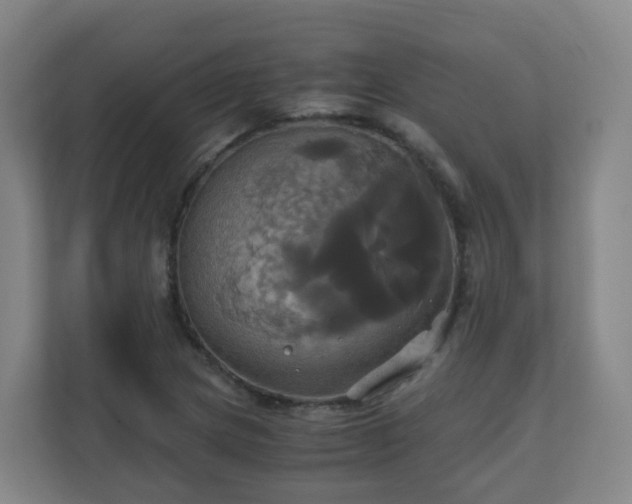 X0000110991217200906261443
