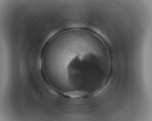 X0000110991221200906261443