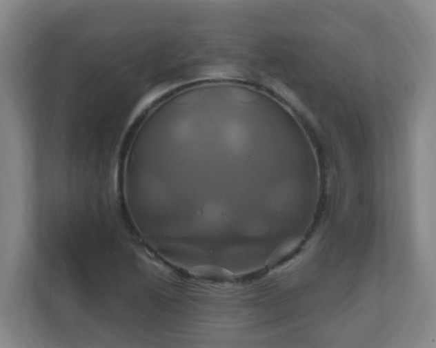 X0000110991222200906261443
