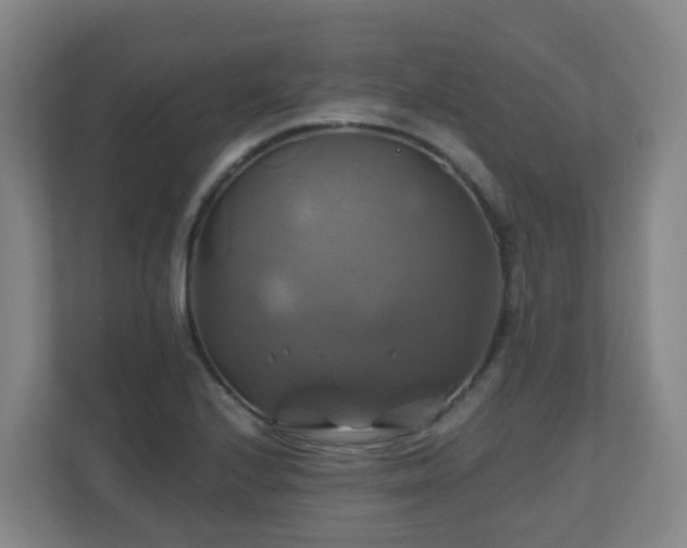 X0000110991224200906261443