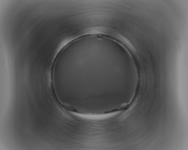 X0000110991226200906261443