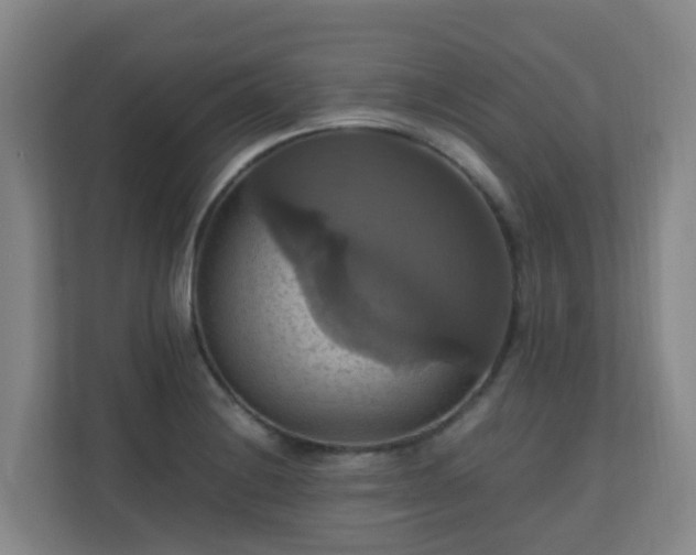 X0000110991228200906261443