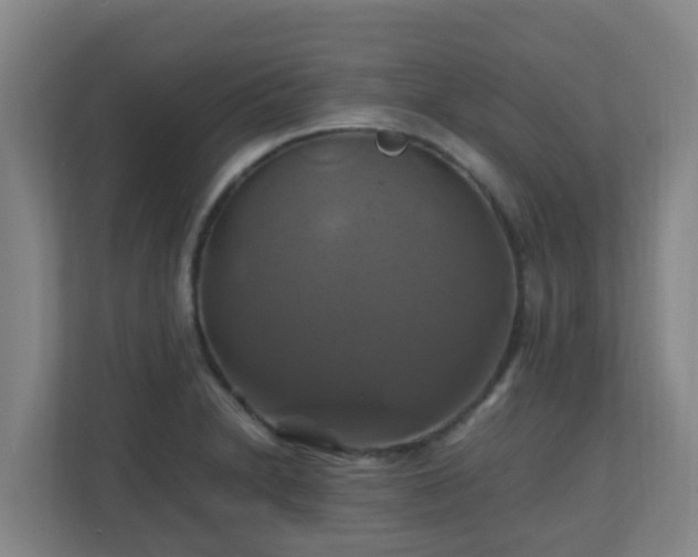 X0000110991230200906261443