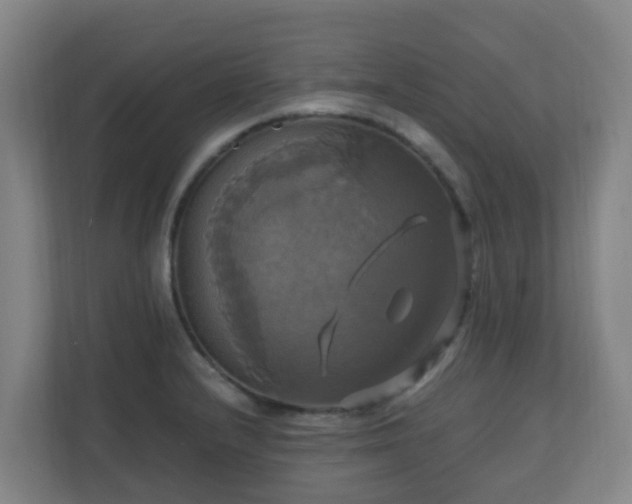 X0000110991232200906261443