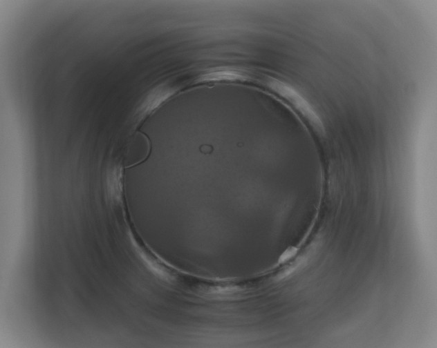 X0000110991233200906261443