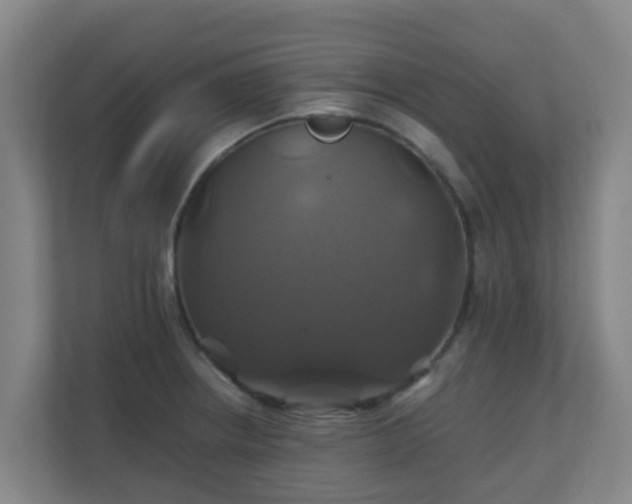 X0000110991234200906261443