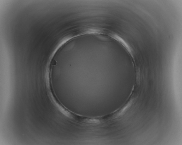 X0000110991235200906261443