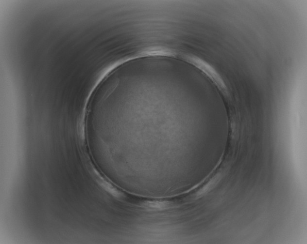 X0000110991236200906261443
