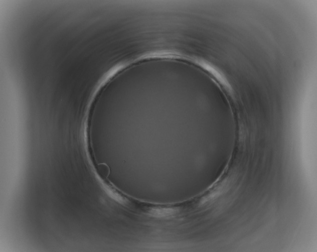 X0000110991237200906261443