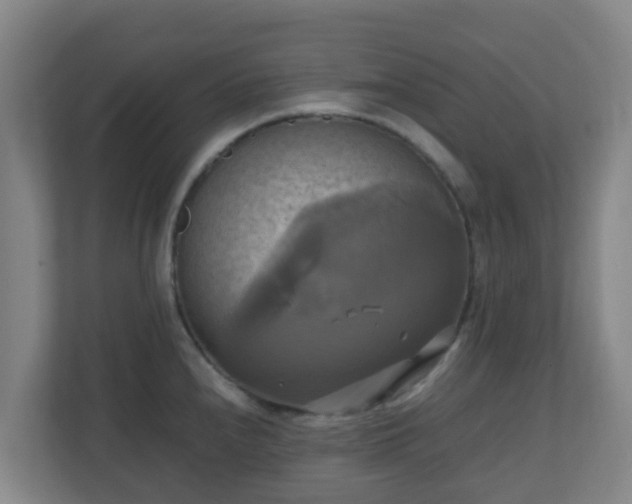 X0000110991240200906261443