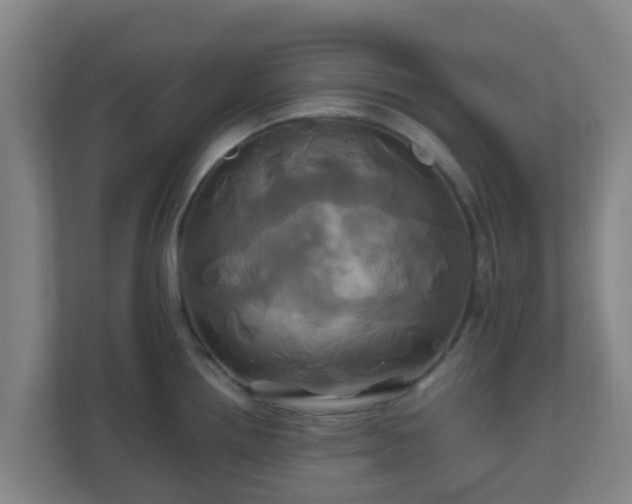 X0000110991242200906261443