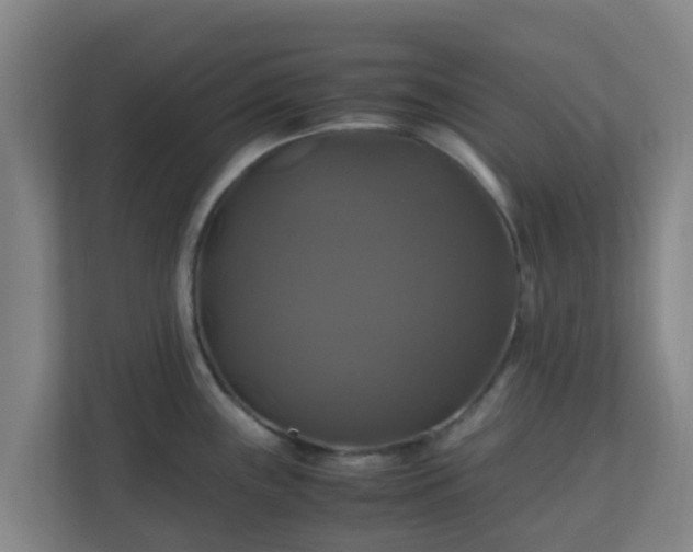 X0000110991243200906261443
