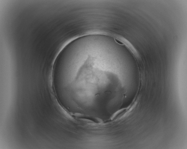 X0000110991244200906261443