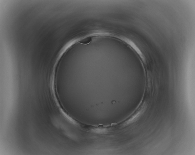 X0000110991245200906261443