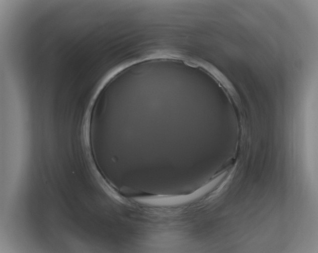 X0000110991246200906261443