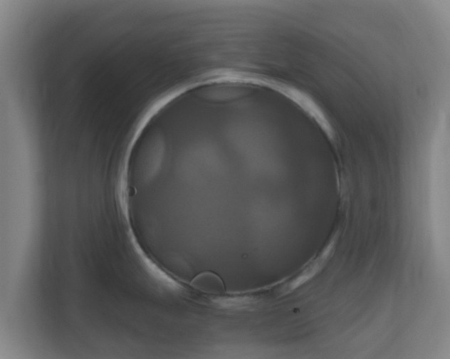 X0000110991247200906261443