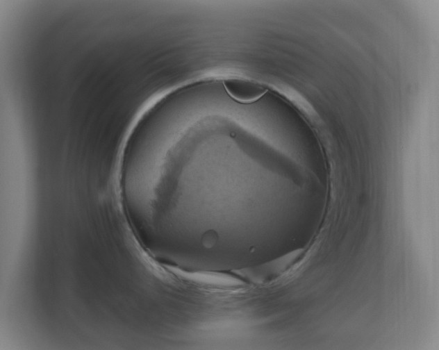 X0000110991248200906261443
