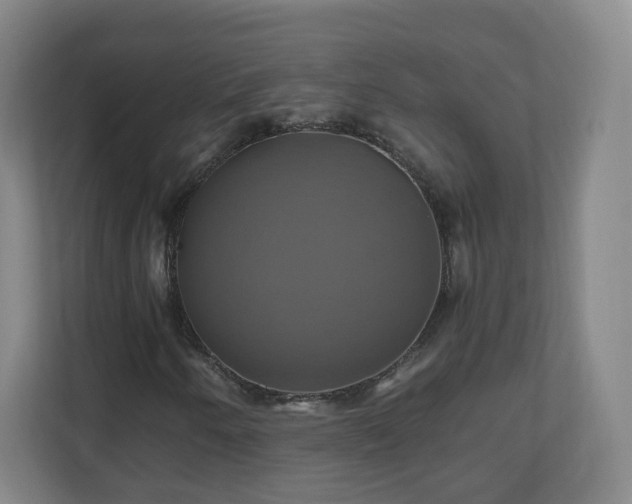 X0000110991250200906261442