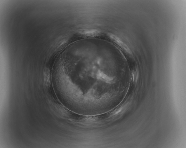 X0000110991251200906261442