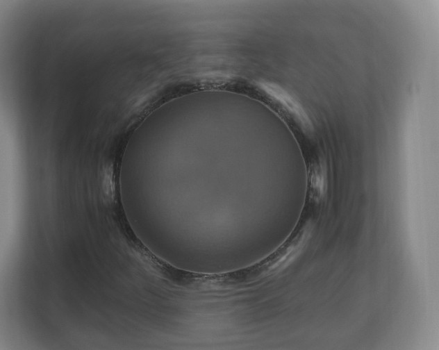 X0000110991252200906261442