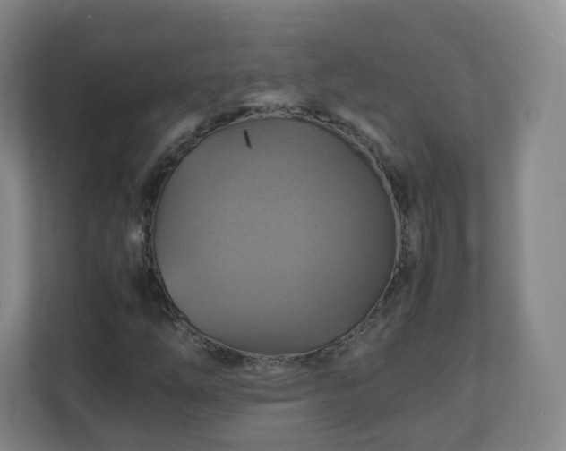 X0000110991254200906261442