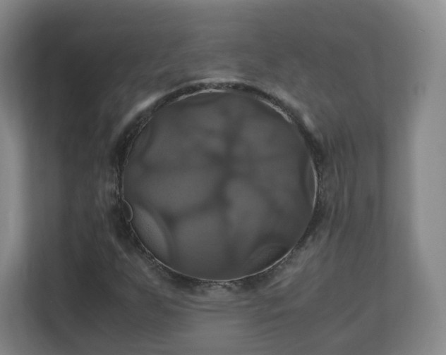 X0000110991255200906261442