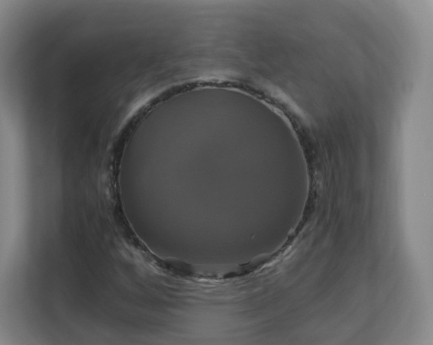 X0000110991256200906261442